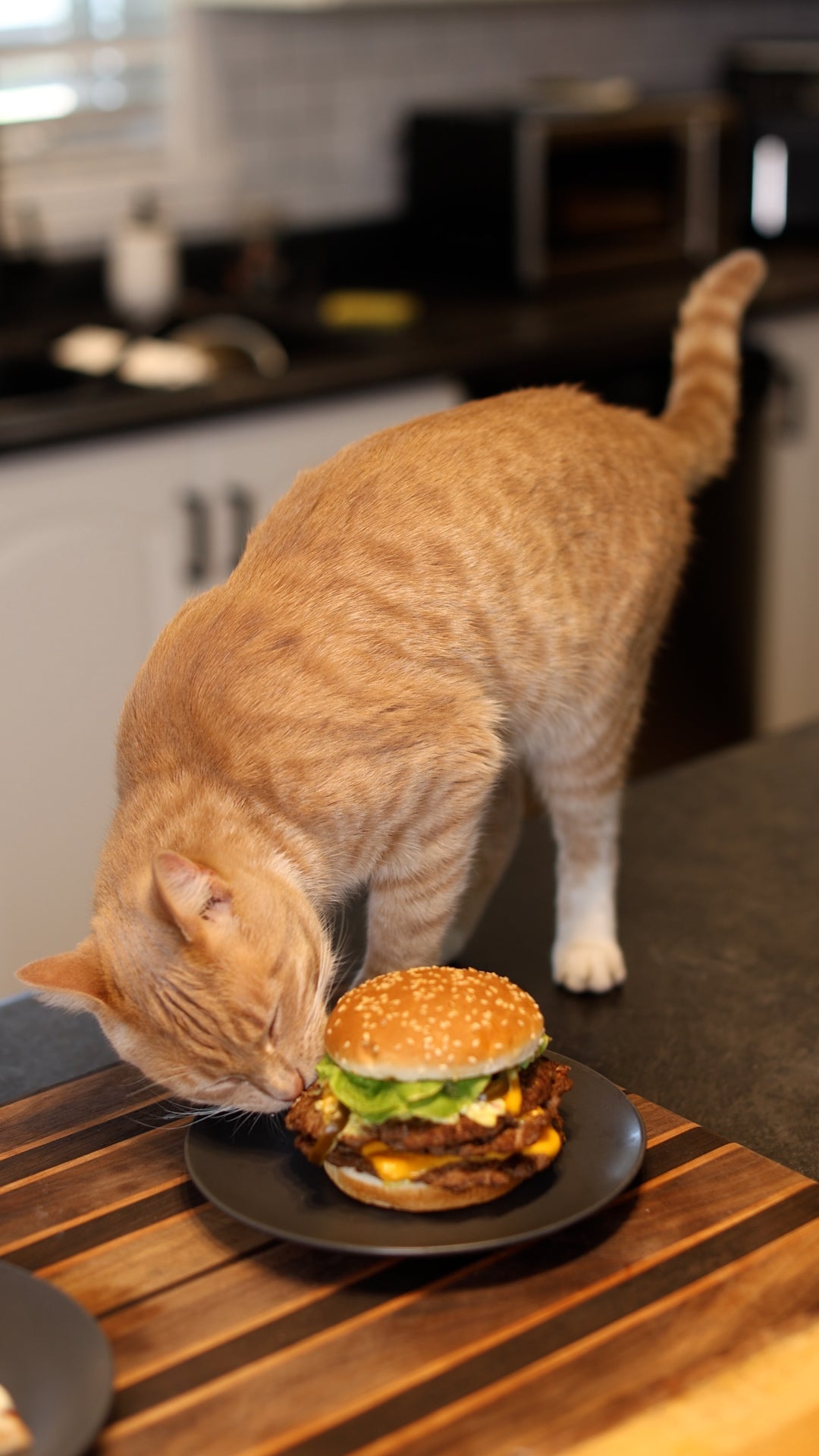 SOS Burger